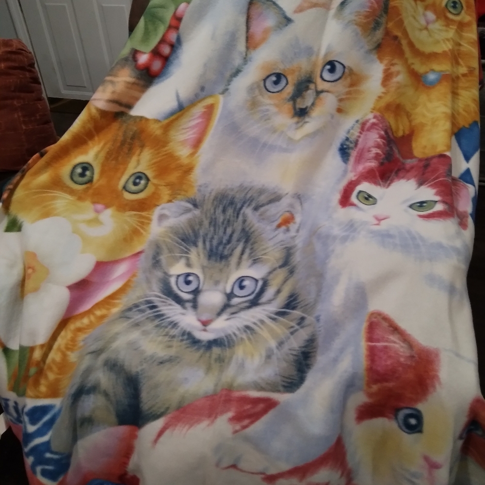 Kitten panel